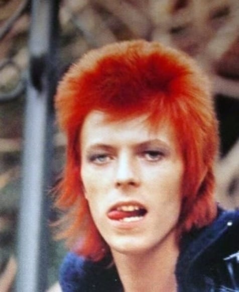 05_emmanuelle_alt_favorite_music_David_Bowie_ziggy_stardust.jpg