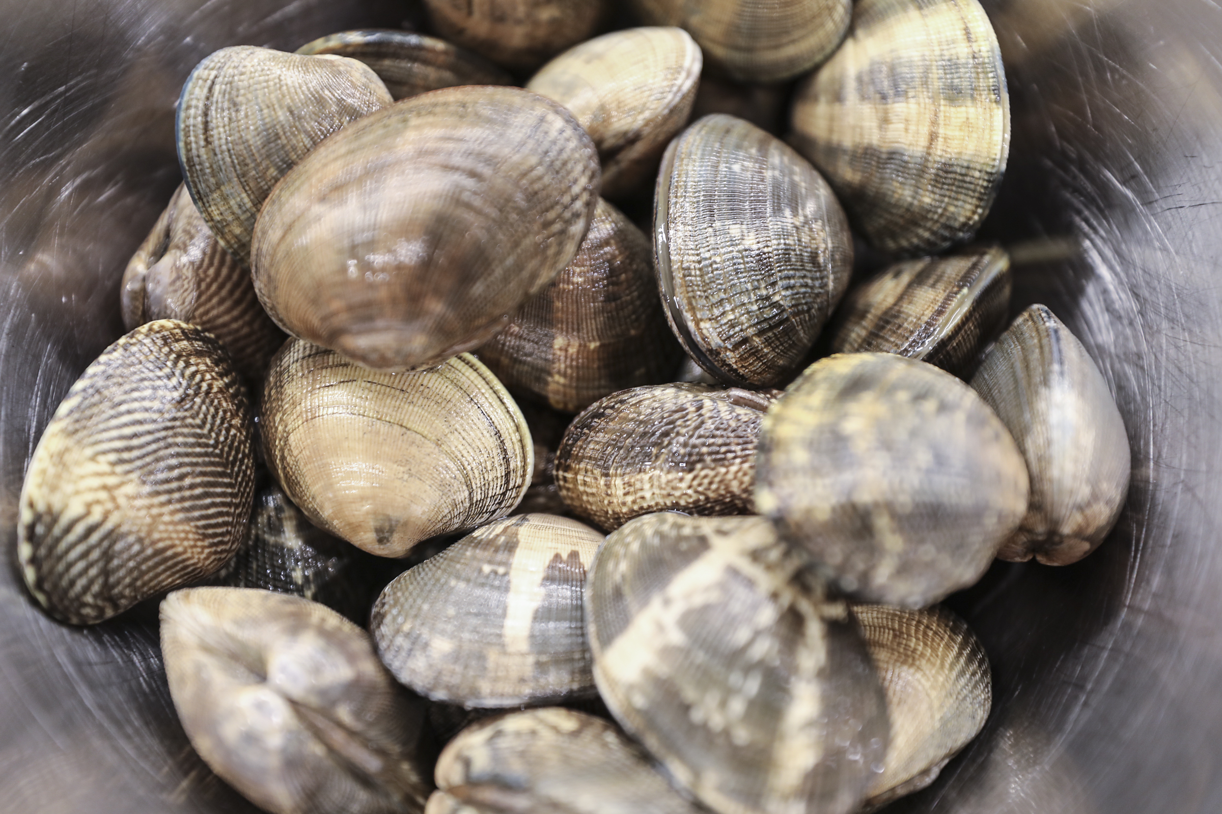 15MINCLAMS_LN_AMANDASAVINON_01.jpg
